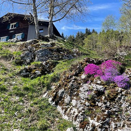 Alpenchalet Piz Huesli Tschagguns Eksteriør bilde