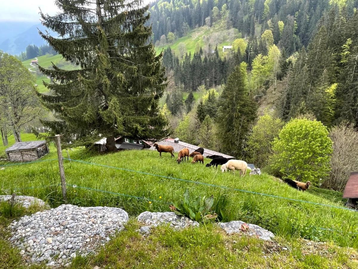 Alpenchalet Piz Huesli Tschagguns Eksteriør bilde